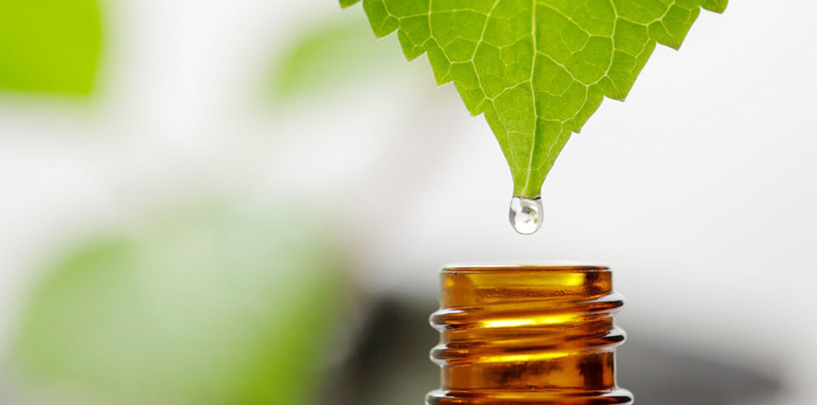 naturopathy